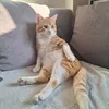 miaeu2