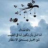 user42851484