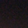 a.kitten.on.the.roof
