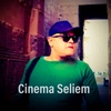 The History of Egyptian Cinema