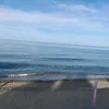 mariaa.borriello
