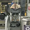 alexcalin99