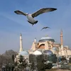 lailaihab