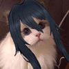 takaoschp