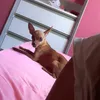 scamila08