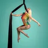 fremilyaerial