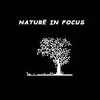 natureinfocus_