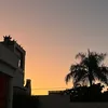 g0736