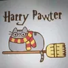 catu_harrypotter601