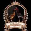 criatorio_barros