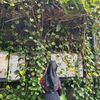 yadreaa__