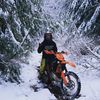 bails_parrforest