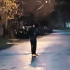 leo_913k