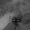 _leo.168