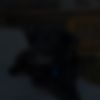 user009812474