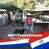 elbambritez
