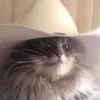 samuellzando