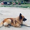 rahul__884