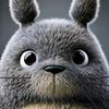 foxupk