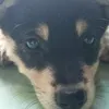 motngaymaimai_