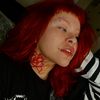 lizllama13