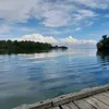 punya_dekal