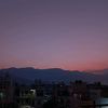 panda_ss101