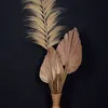abimanyugemati