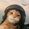capt._dydx