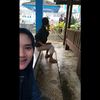 herher_lina