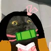 quaithaimeow12lodit