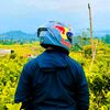 kurniawan.17