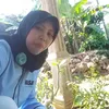 damiasih113