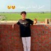 user9391129