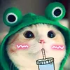 _snowz16