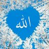 user50324615
