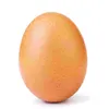almighty._.egg