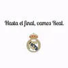 botafogoerealmadrid1