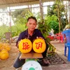 267betu