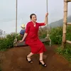 mebodaly