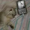 hoanq_phwc