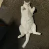 tittyblu75