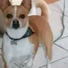 releonora67