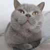otwinso
