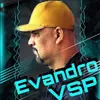 evandrovsp