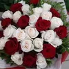 user4091234197637