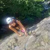delph_diy