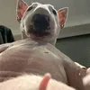 oryyynnn