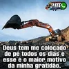 liceliarodrigues1