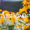 abundantsuds